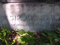 01-25 Sipőcz Jenő